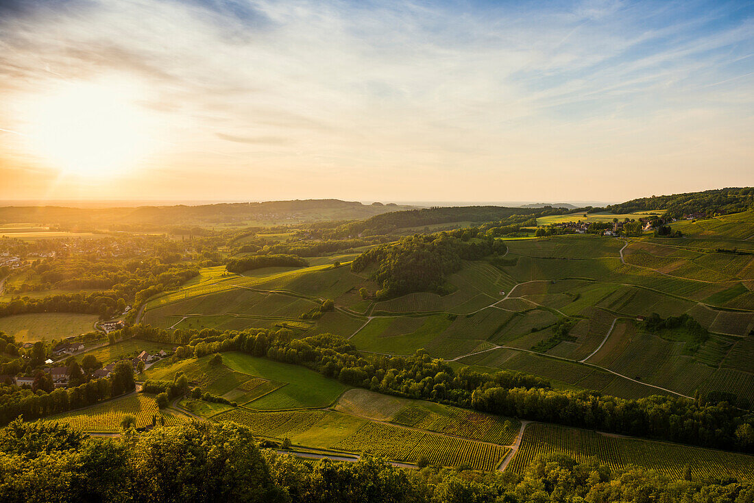 Vineyards, Chateau-Chalon, Plus Beaux Villages de France, Jura Department, Bourgogne-Franche-Comté, France