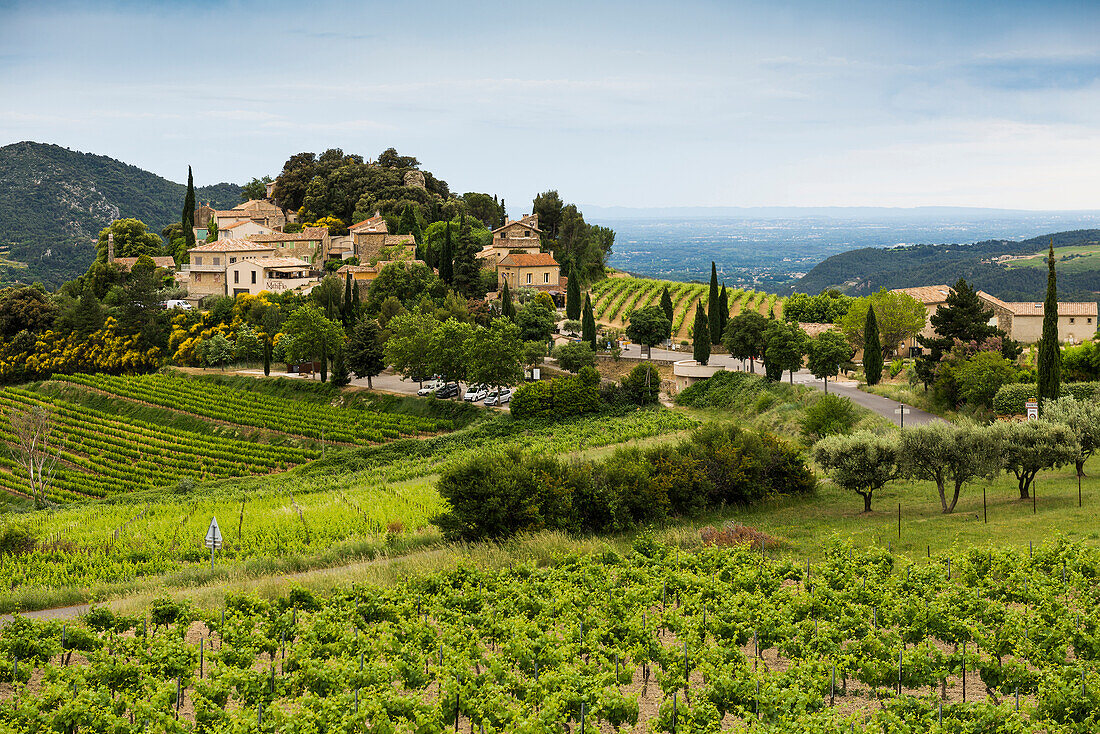 Picturesque mountain village and vineyards, Suzette, Dentelles de Montmirail, Vaucluse Department, Provence, Provence-Alpes-Côte dAzur, France