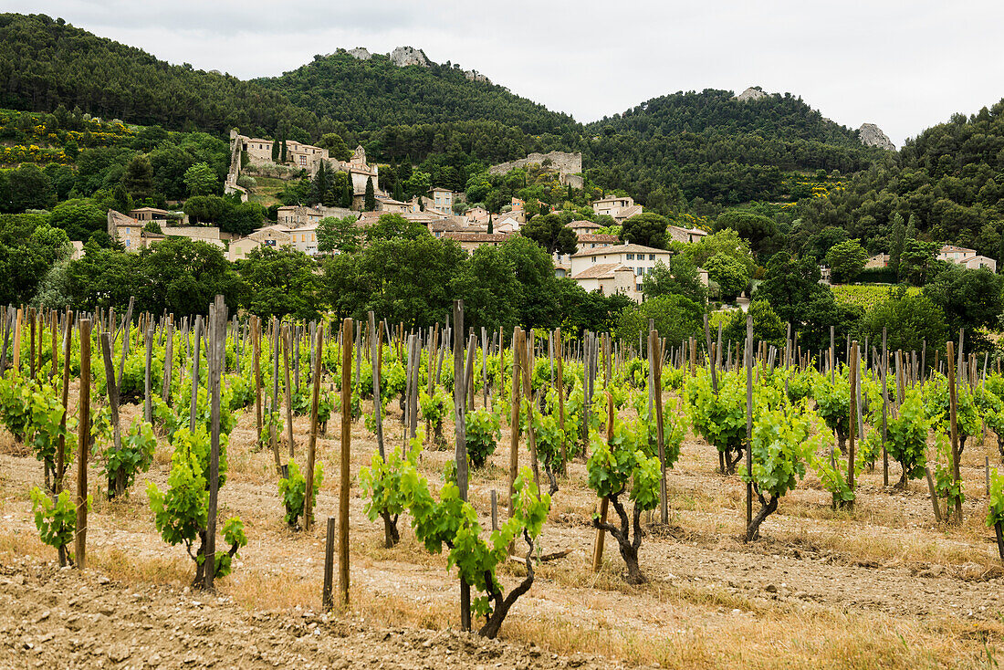 Picturesque mountain village, Gigondas, Dentelles de Montmirail, Vaucluse Department, Provence, Provence-Alpes-Côte dAzur, France