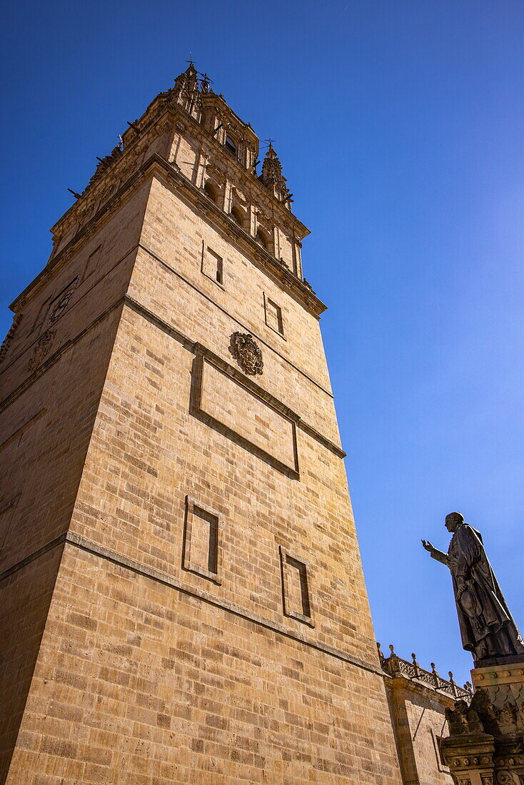Exterior of the Catedral Nueva (New Cathedral) and statue, Salamanca, Castilla y Leon, Spain, Europe