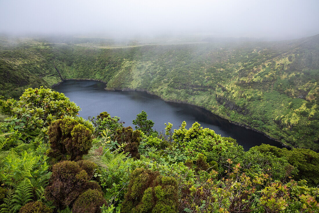 Üppige Vegetation und Kratersee, in der Nähe von Lajes das Flores, Insel Flores, Azoren, Portugal, Europa