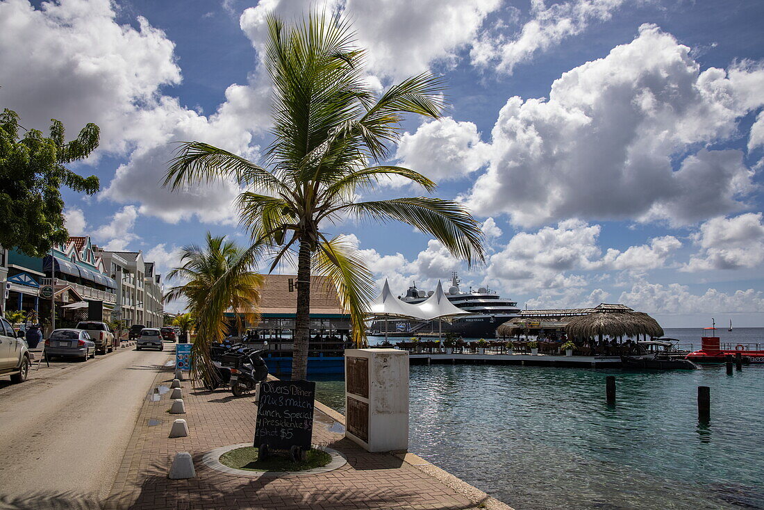 Palme, Strandpromenade mit Expeditionskreuzfahrtschiff World Voyager (nicko cruises) am Pier, Kralendijk, Bonaire, Niederländische Antillen, Karibik