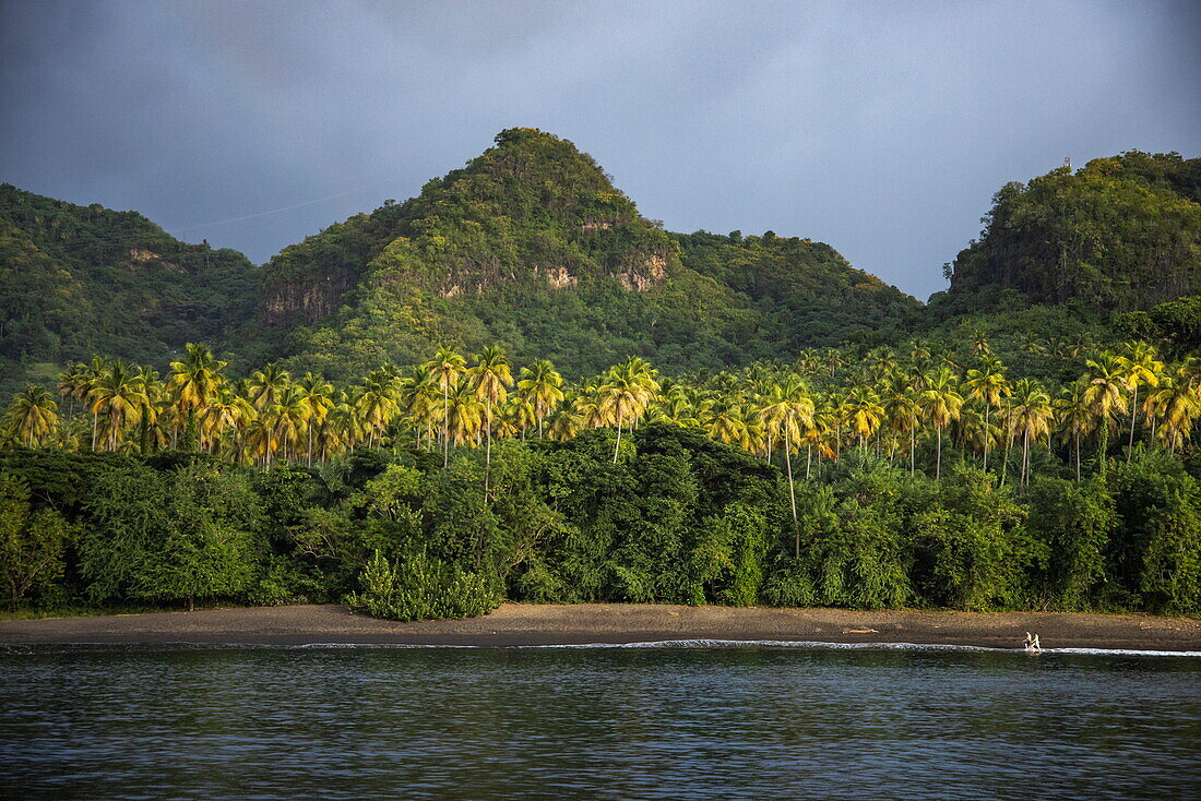 Couple walking on beach with palm trees against jungle and mountain backdrop, St. Vincent Island, St. Vincent and the Grenadines, Caribbean