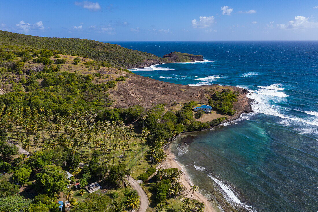 Luftaufnahme von Palmen und Strand im Park Estate, Bequia Island, Grenadinen, St. Vincent und die Grenadinen, Karibik