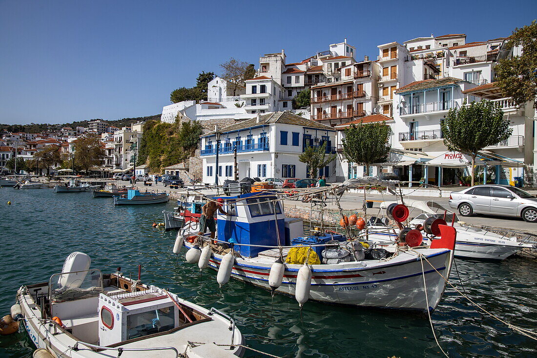 Fischerboote im Hafen, Skopelos, Thessalien, Griechenland, Europa