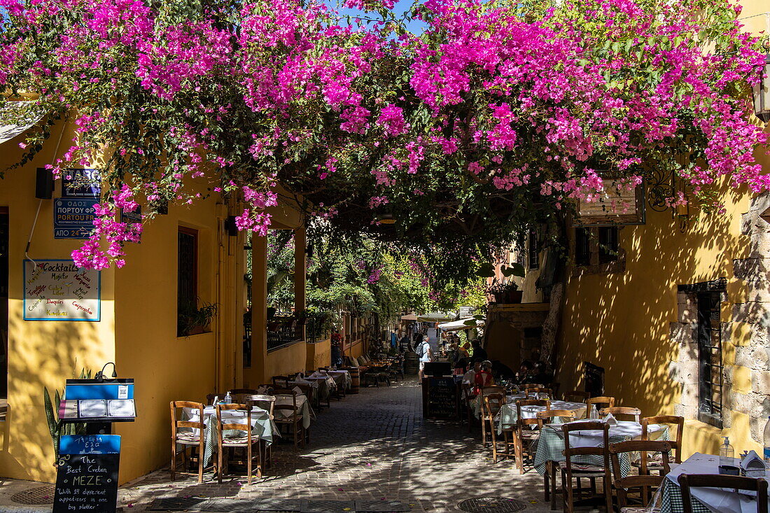 Blühende Bougainvillea bildet Baldachin über Restaurant, Tische von Taverne in Gasse von Altstadt, Chania, Kreta, Griechenland, Europa