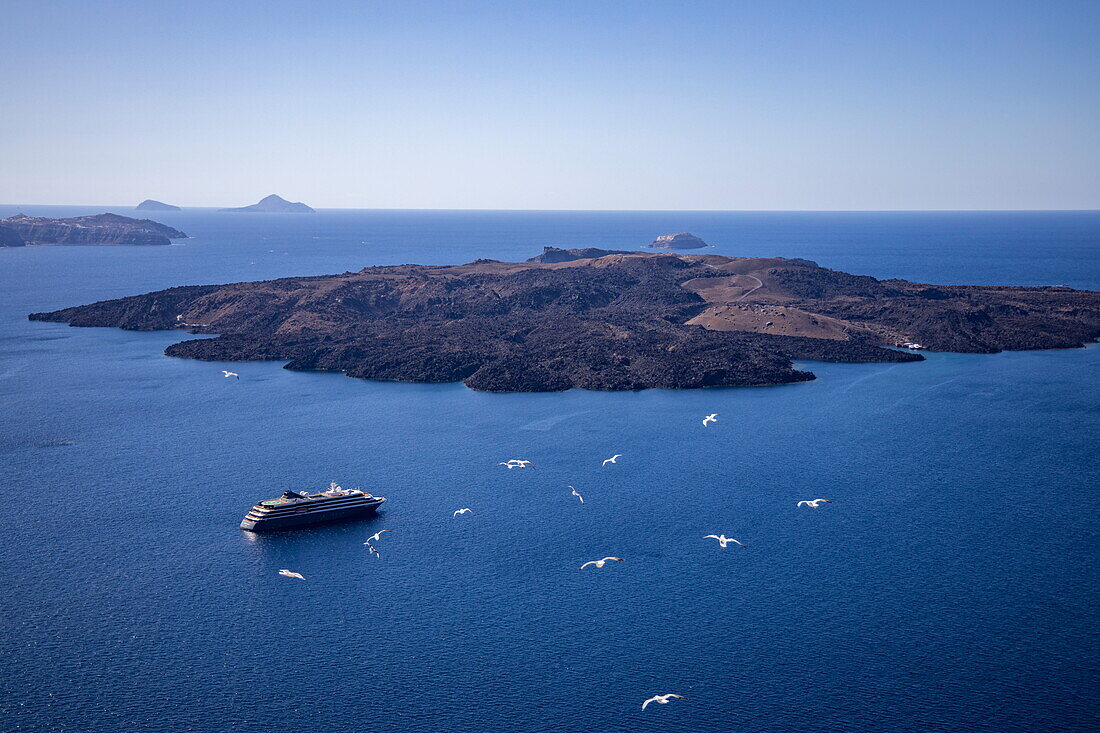 View over Caldera with expedition cruise ship World Explorer (Nicko Cruises) at anchor with flying seagulls in foreground, Fira, Santorini, South Aegean, Greece, Europe