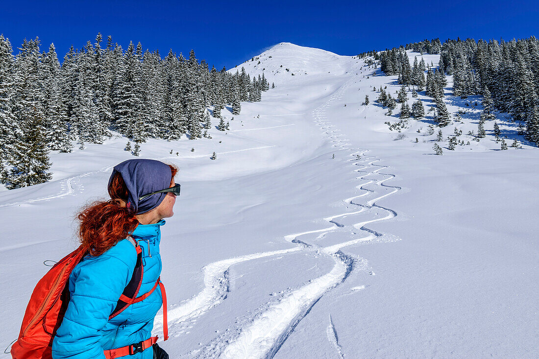 Woman on ski tour looking back at downhill tracks, at Kuhmesser, Zillertal, Hochfügen, Tux Alps, Tyrol, Austria