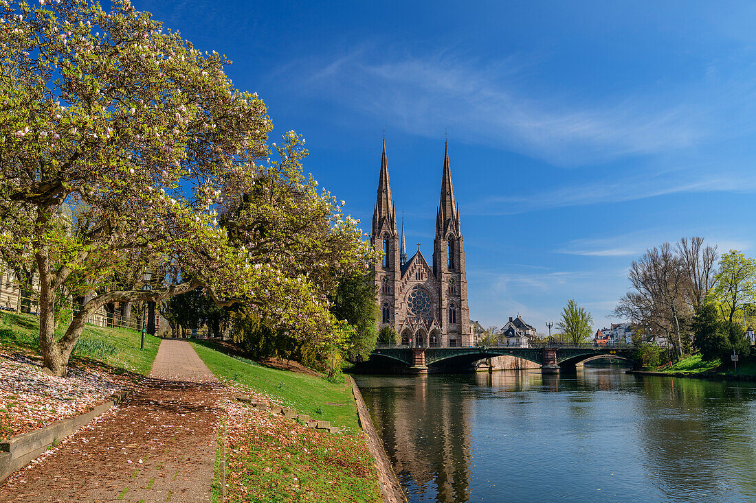 Paulskirche over the river Ill, St. Paul, Église réformée Saint-Paul, Strasbourg, Strasbourg, UNESCO World Heritage Strasbourg, Alsace, Grand Est, France