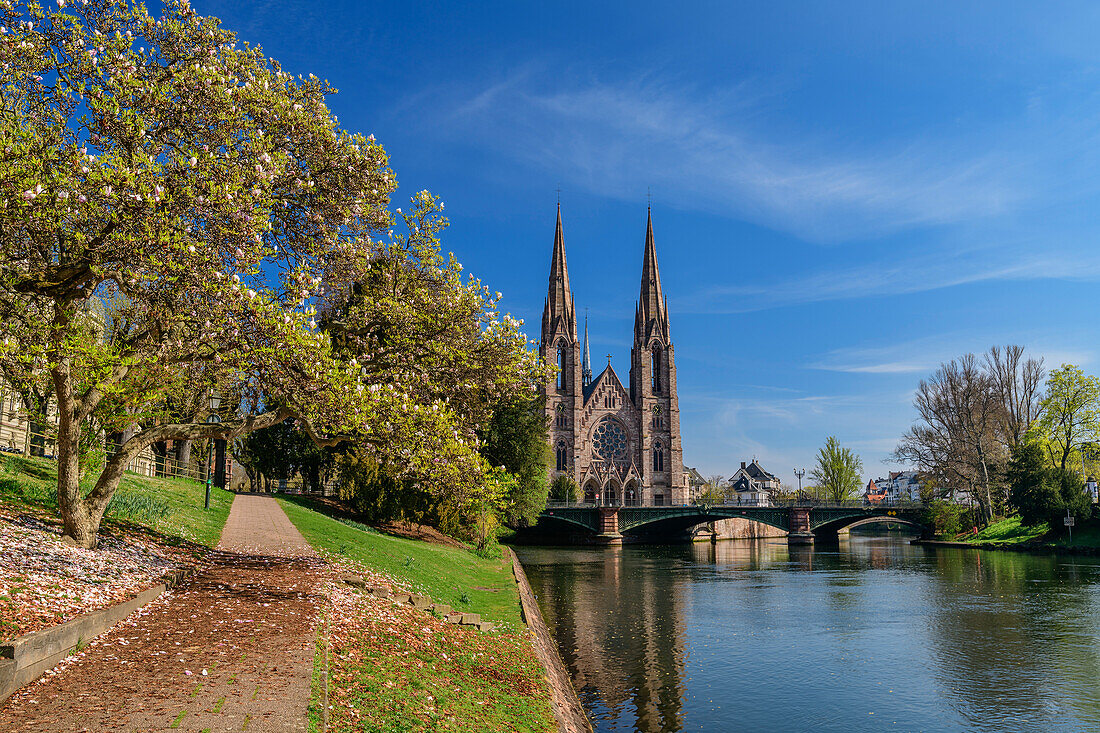 Paulskirche über dem Fluss Ill, St. Paul, Église réformée Saint-Paul, Straßburg, Strasbourg, UNESCO Welterbe Straßburg, Elsass, Grand Est, Frankreich 