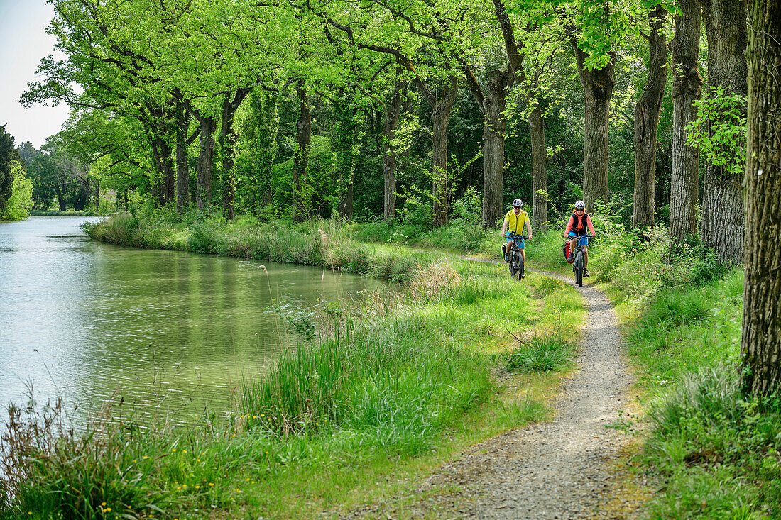 Two people cycling along the Canal du Midi, near Marseillette, Canal du Midi, UNESCO World Heritage Canal du Midi, Occitania, France