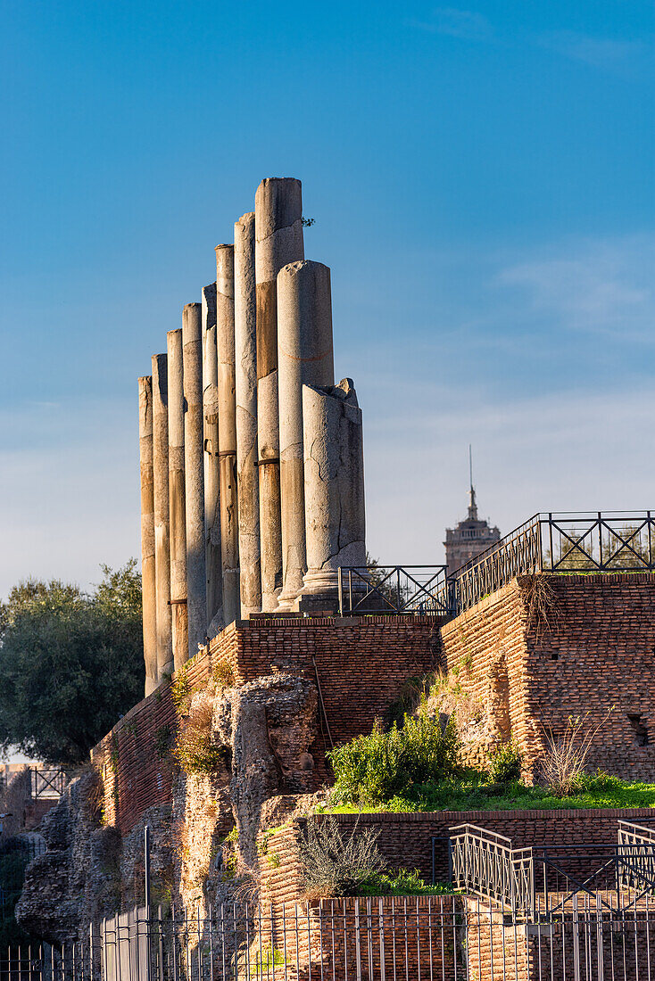 Roman pillars on the Palatine Hill in Rome, Italy