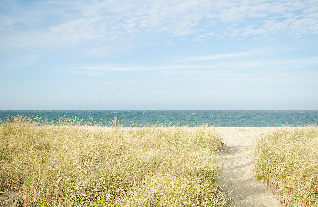 USA, Massachusetts, Cape Cod, Nantucket Island, Footpath on Siasconset Beach?with marram grass