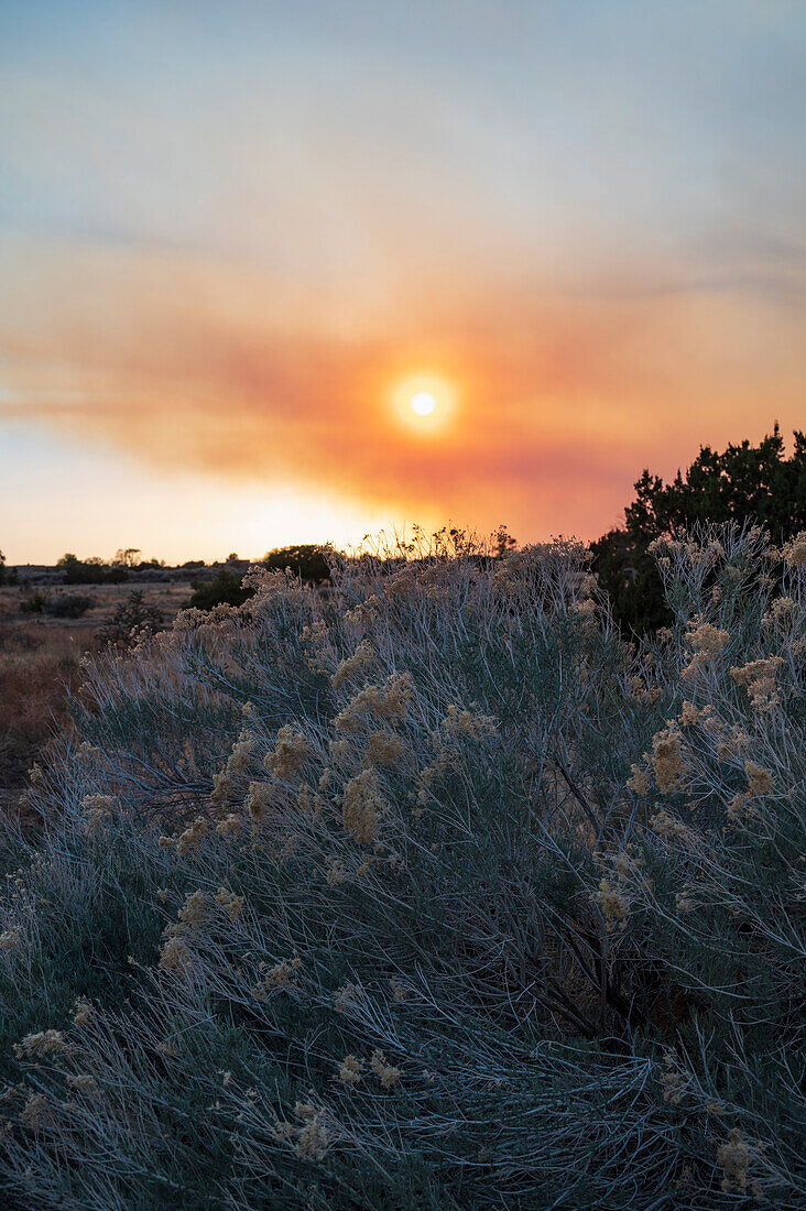 Usa, New Mexico, Santa Fe, Wildfire smoke and setting sun over desert with chamisa shrubs in foreground