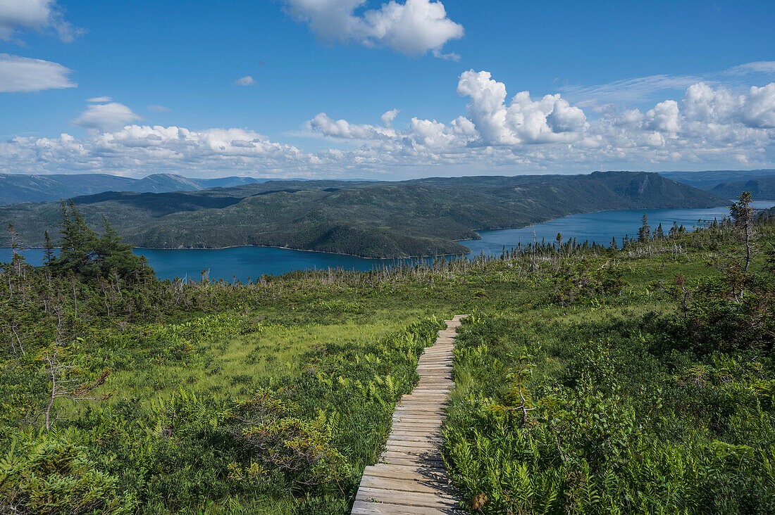 Wanderweg auf Holzplatten, Gros Morne Nationalpark, Labrador, Neufundland, Kanada