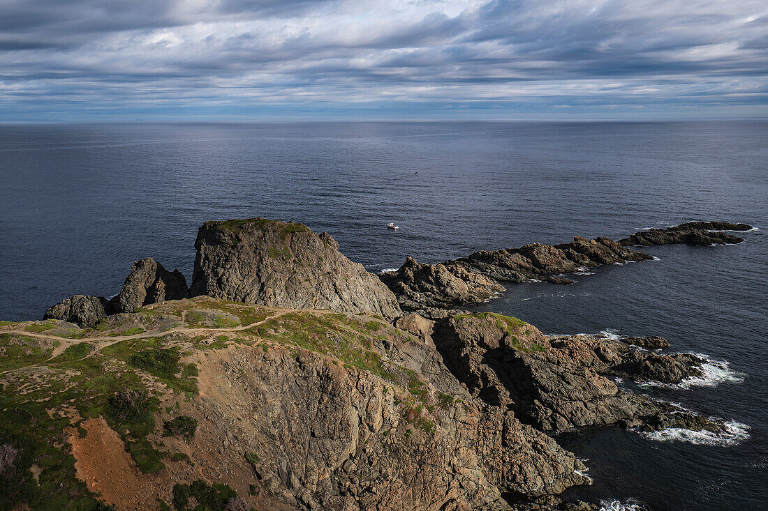 Canada, Labrador, Newfoundland, Twillingate, High angle view of rocky coast