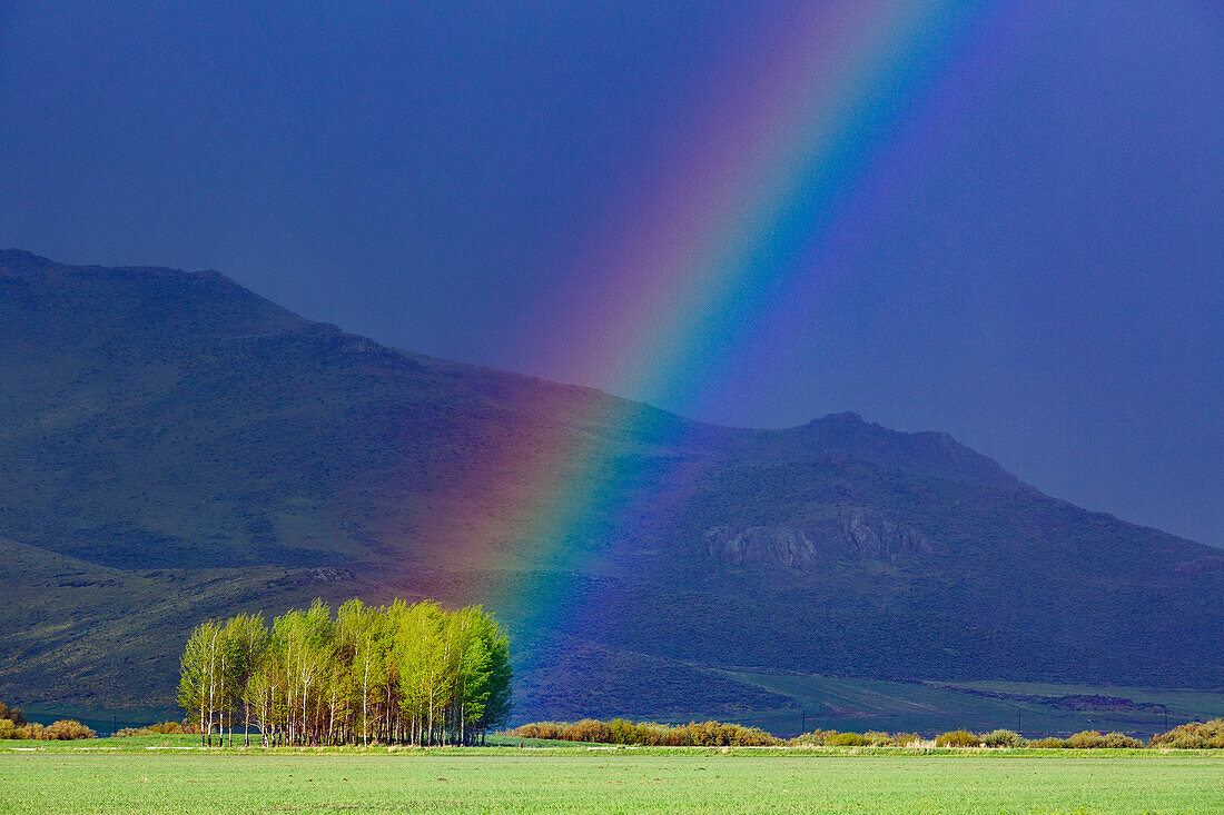 Regenbogen im ländlichen Raum, Bellevue, Idaho, USA