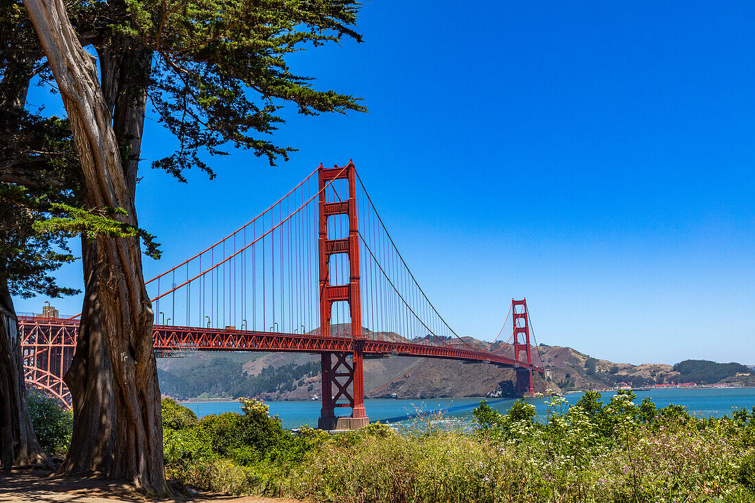 Blick auf Golden Gate Bridge, Golden Gate Bridge, San Francisco, Kalifornien, USA