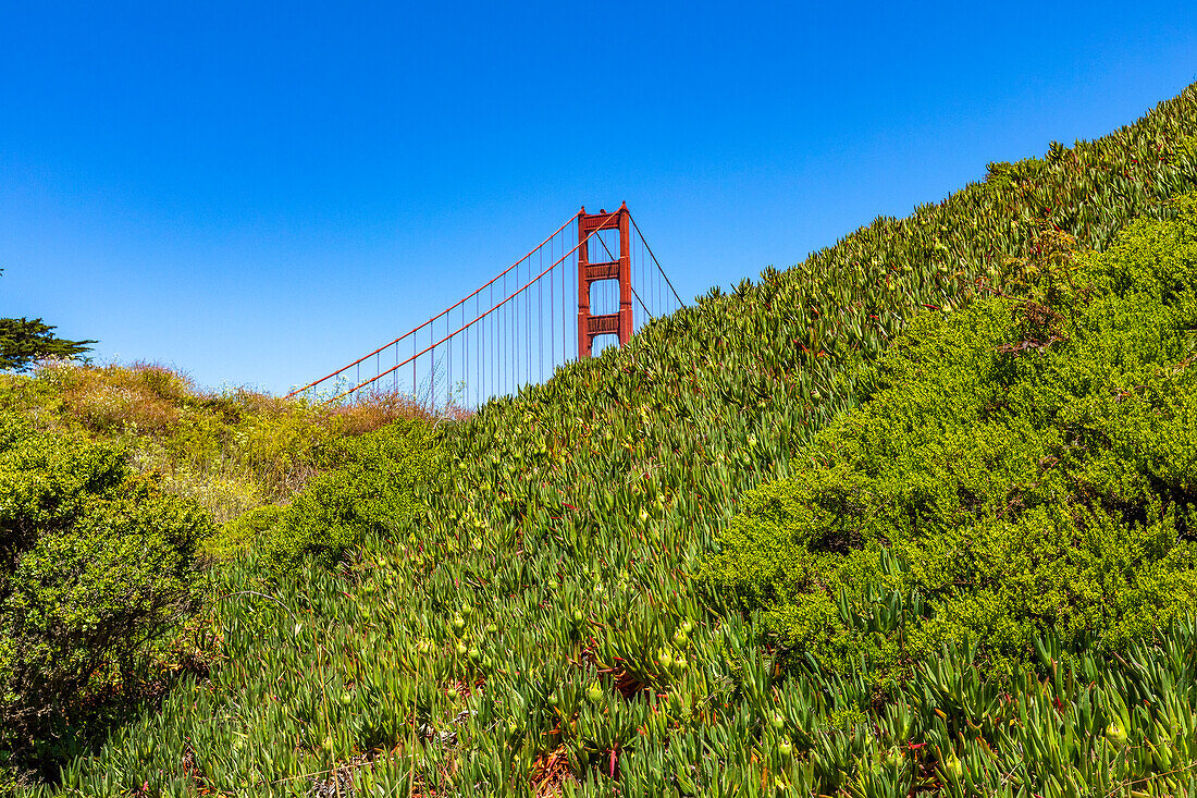 Golden Gate Bridge hinter grünen Hügeln, San Francisco, Kalifornien, USA