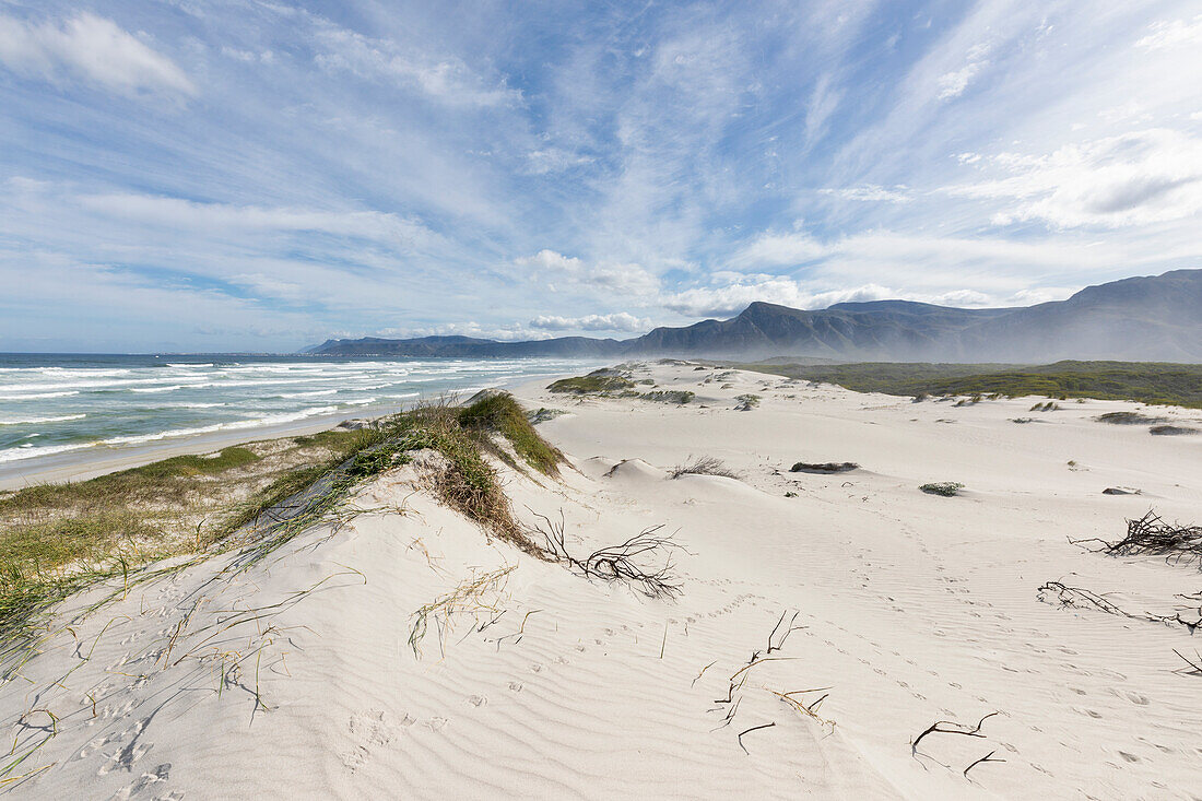 South Africa, Hermanus, Sand dunes and ocean on Grotto Beach