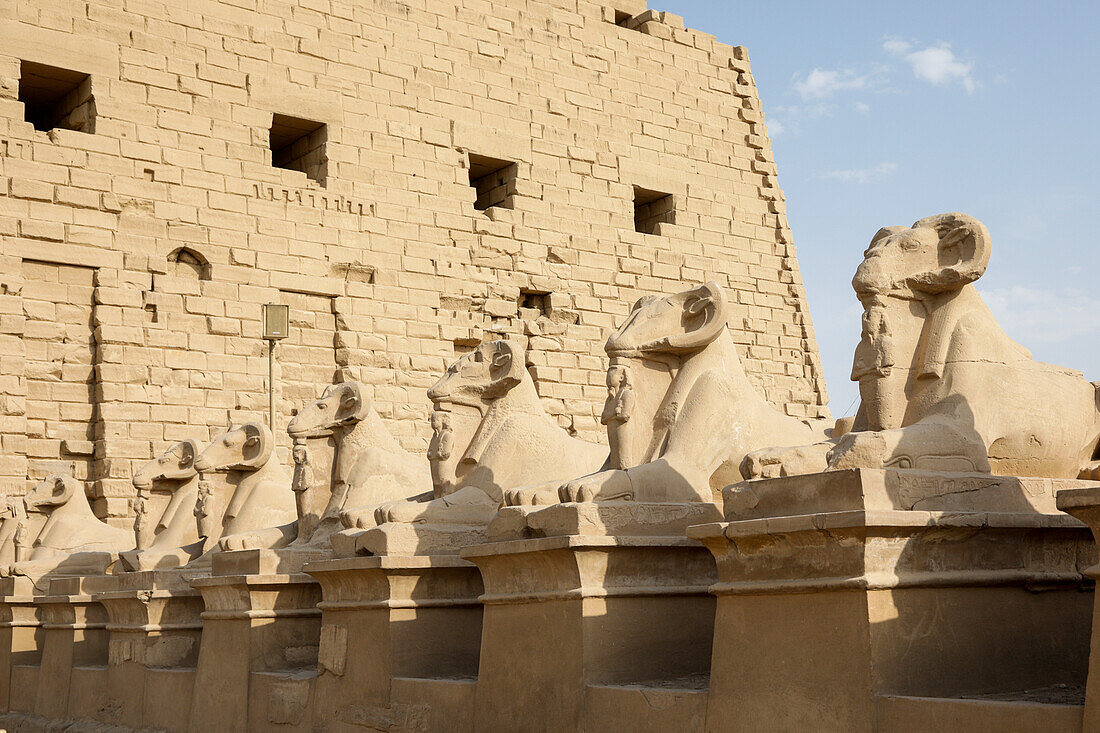 Ägypten, Luxor, Tierstatuen im Tempel von Karnak