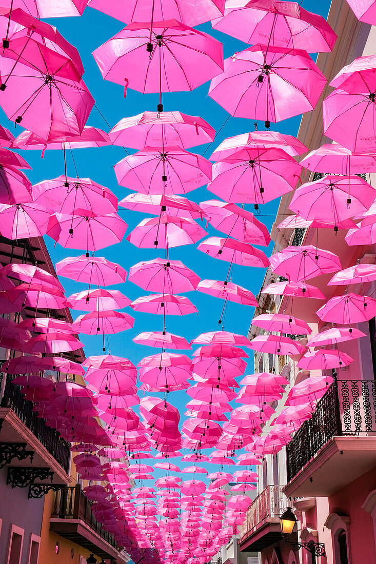 San Juan, Puerto Rico, rosa Regenschirme, die über der Straße hängen