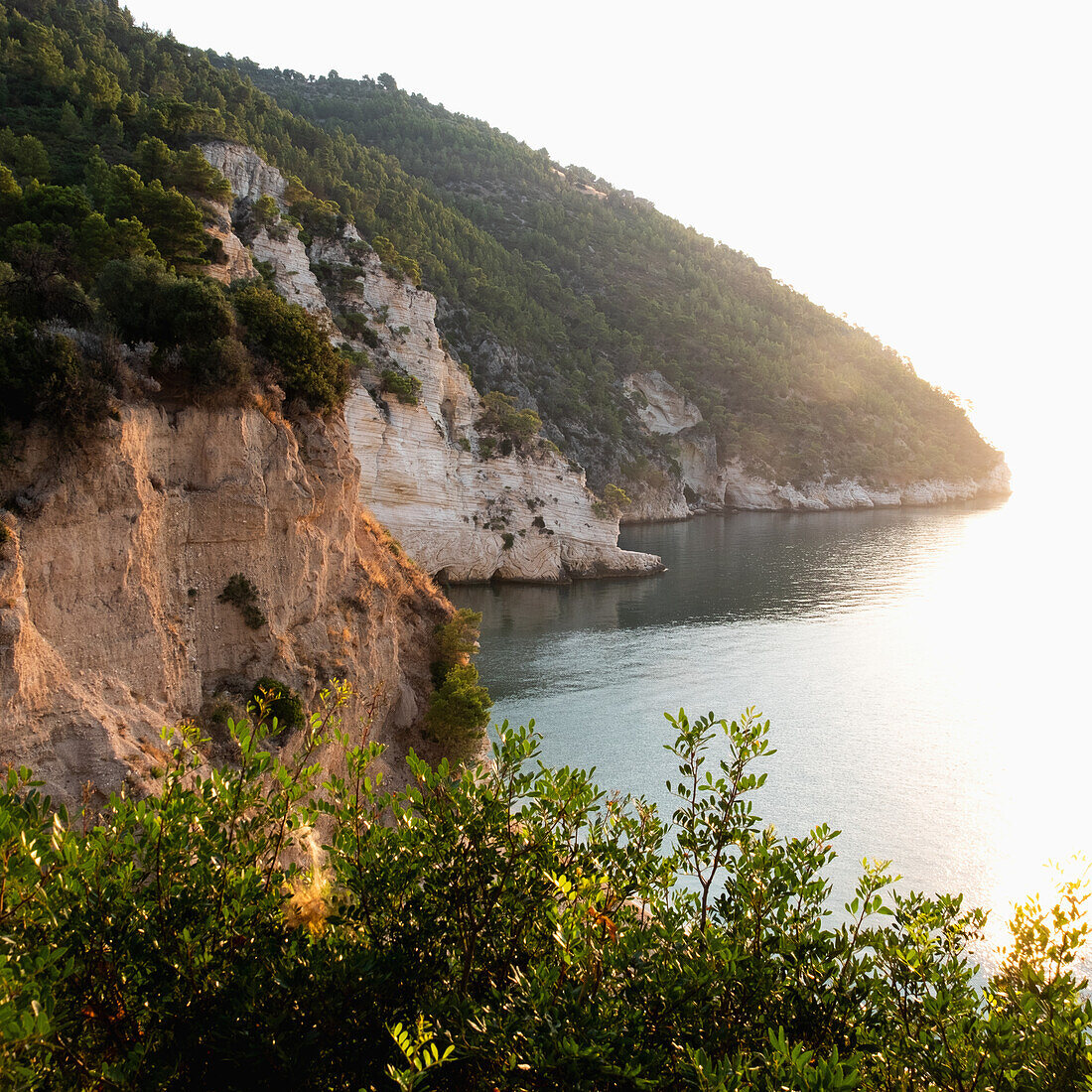 Italien, Apulien, Gargano, Baia Delle Zagare, Klippe an der Küste der Adria