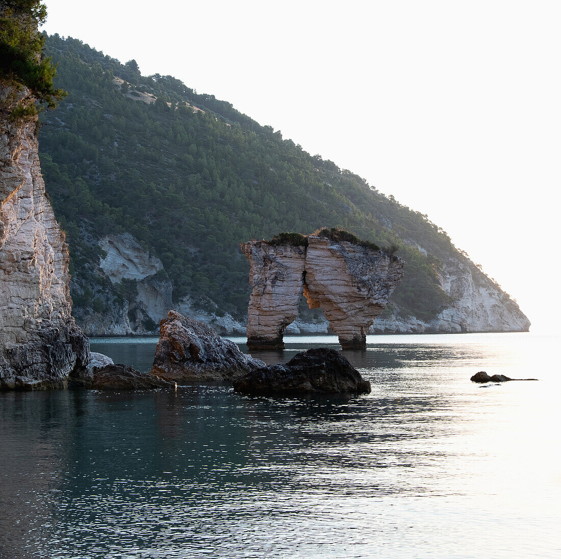 Italien, Apulien, Gargano, Baia Delle Zagare, felsige Küste der Adria