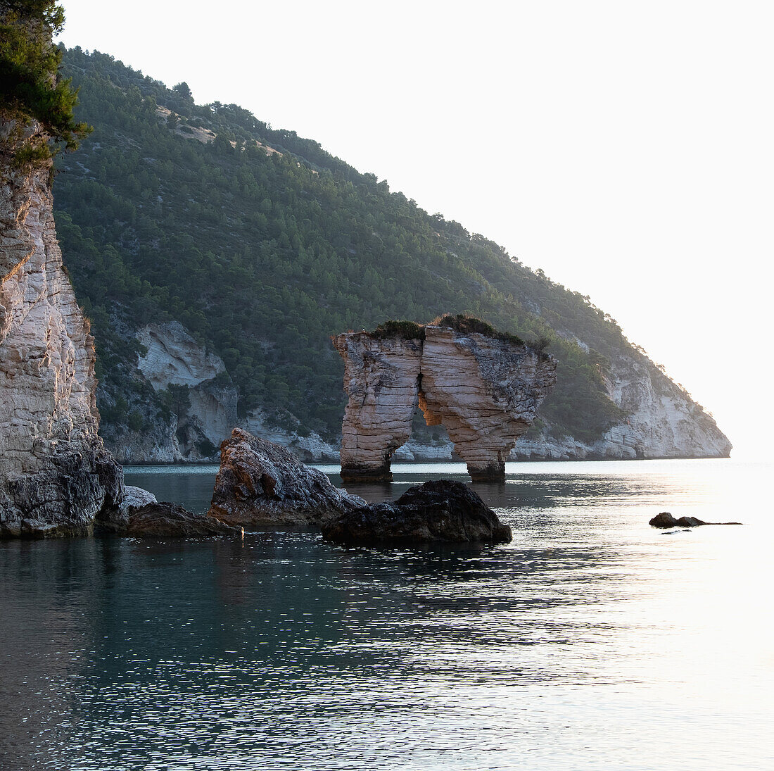 Italy, Apulia, Gargano, Baia Delle Zagare, Rocky coast of Adriatic Sea