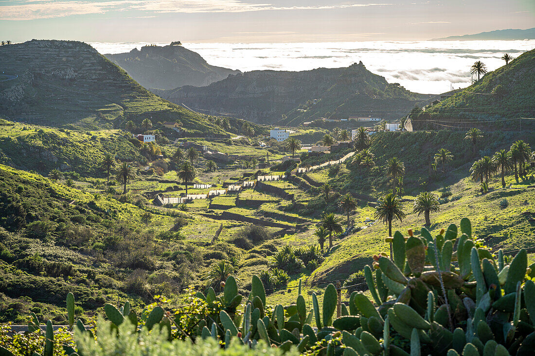 Landschaft im Tal von Arure, La Gomera, Kanarische Inseln, Spanien