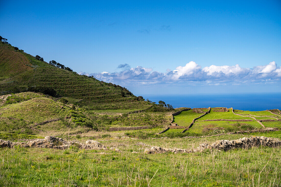 Landscape of the Meseta de Nisdafe plateau, El Hierro, Canary Islands, Spain