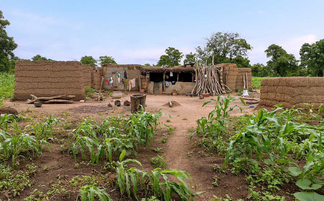 Aberewanko, traditioneller Familienkraal der Lobi in Lehmbauarchitektur  bei Sawla in der Savannah Region im Norden von Ghana in Westafrika