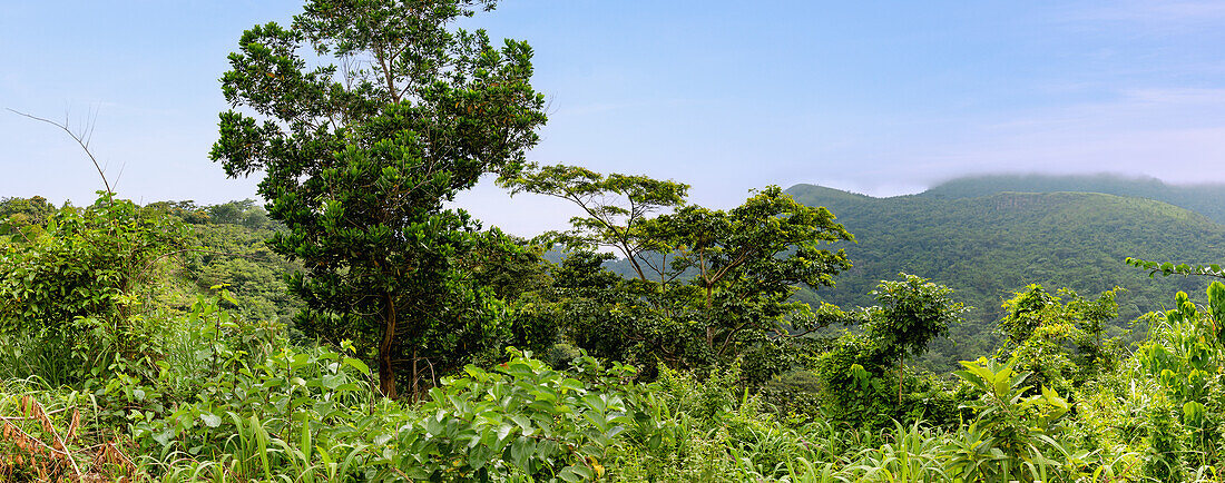 Afadzado-Berglandschaft bei Ho in der Volta-Region im Osten von Ghana in Westafrika