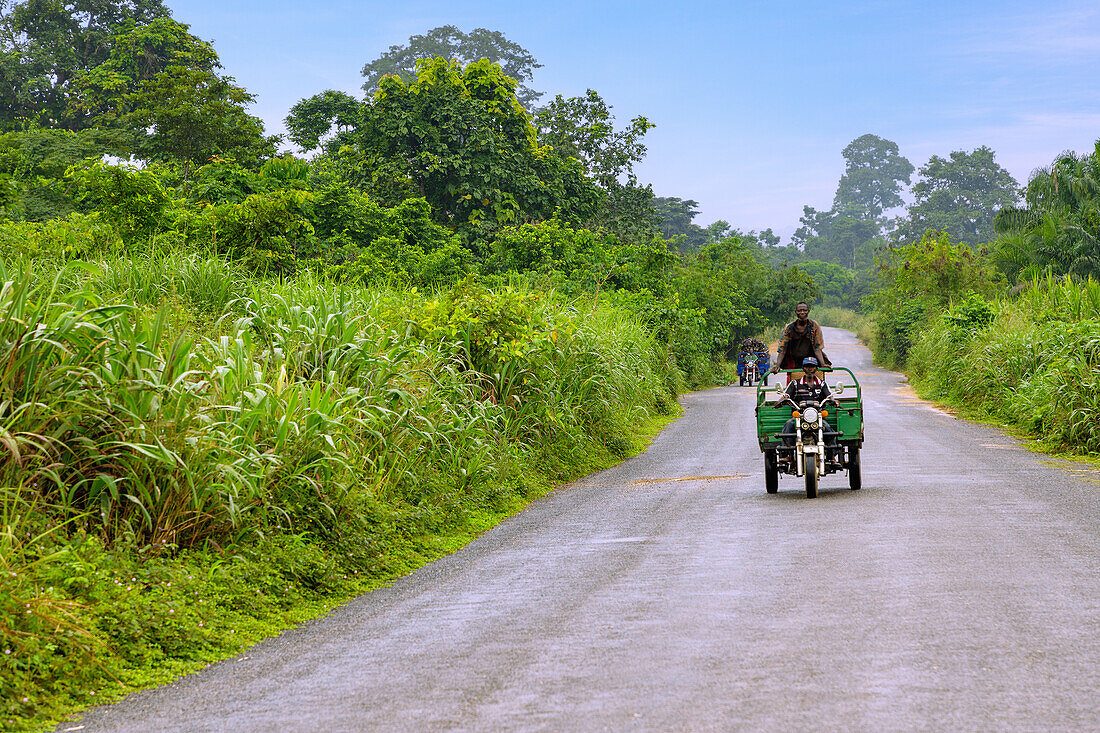 Landstraße mit Tuktuks in der Regenwaldlandschaft bei Hohoe in der Volta-Region im Osten von Ghana in Westafrika