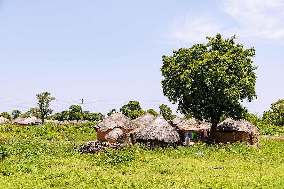 Janikura, traditionelles Rundhüttendorf der Gonja an der Damongo-Sawla-Raod im Central Gonja District in der Northern Region im Norden von Ghana in Westafrika