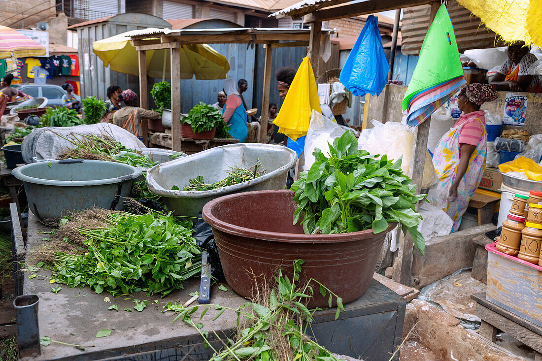 Verkauf von Spinat und Kräutern auf dem Wochenmarkt in Techiman in der Bono-East-Region im Zentrum von Ghana in Westafrika