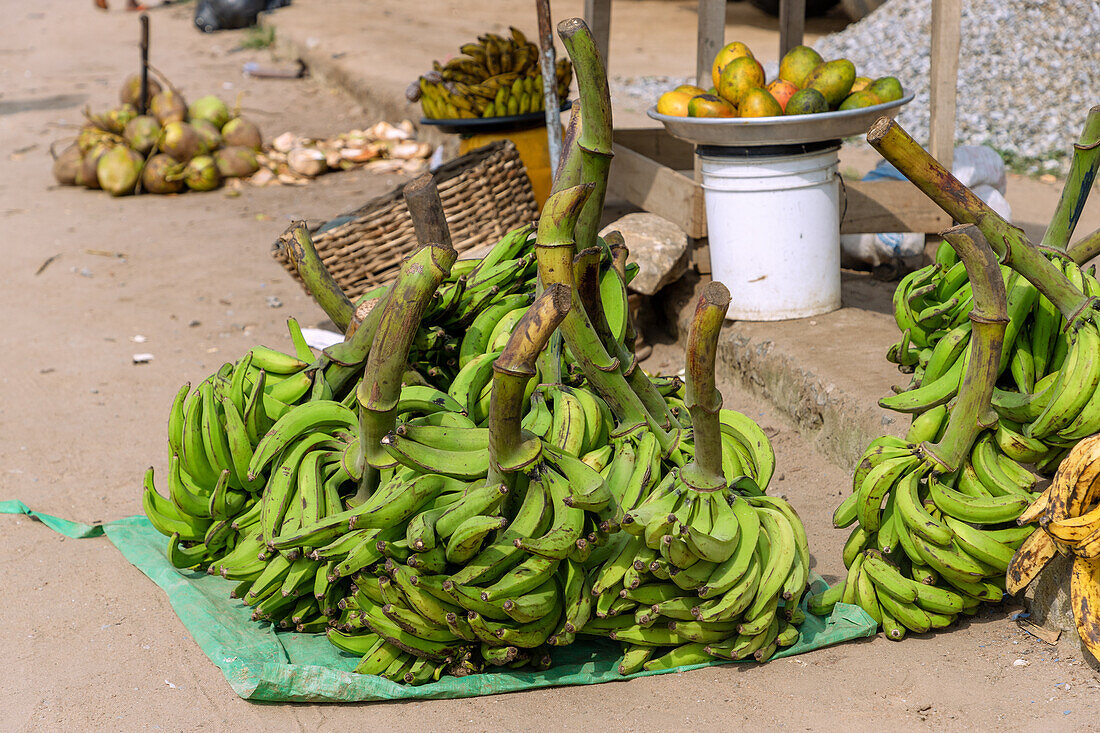 Straßenverkauf von Mangos, Kochbananen und Kokosnüssen in Winneba in der Central Region im Westen von Ghana in Westafrika