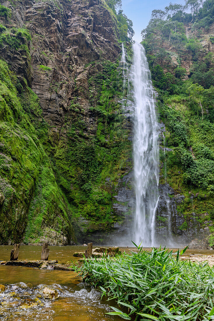 Wli-Wasserfall in der Regenwaldlandschaft im Agumatsa Nature Reserve bei Hohoe in der Volta-Region im Osten von Ghana in Westafrika