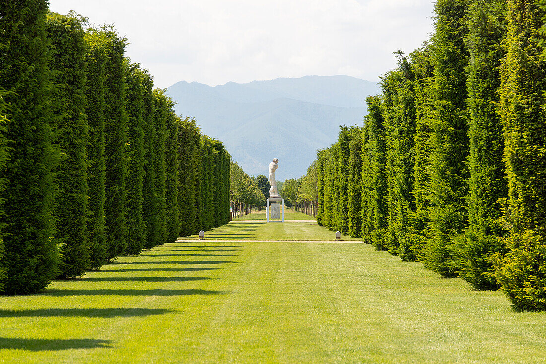 Schlossgarten Palast von Venaria, Residenzen des Königshauses von Savoyen, Europa, Italien, Piemont, Turin, Venaria Reale