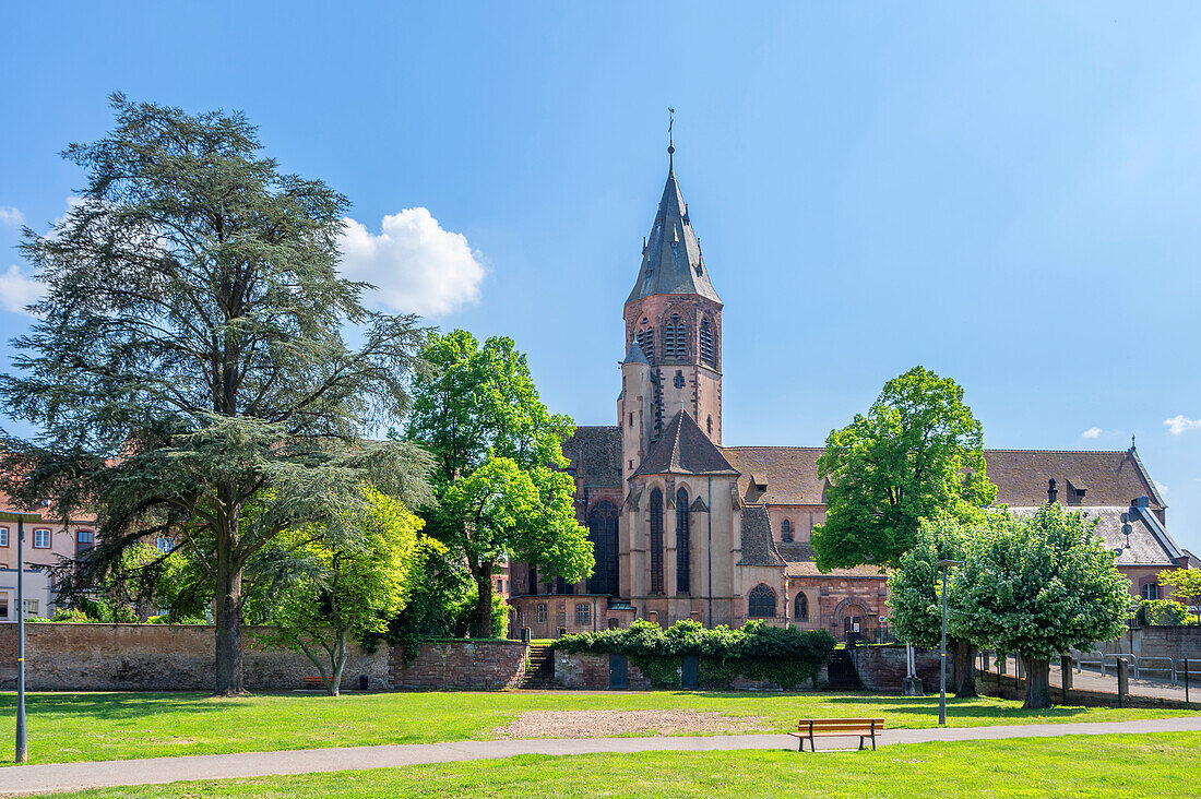 Église Saint-Georges in Haguenau, Bas-Rhin, Alsace, Grand Est, Alsace-Champagne-Ardenne-Lorraine, France