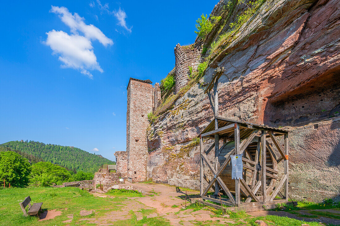 Burg Fleckenstein, Lembach, Nördliche Vogesen, Bas-Rhin, Elsass, Vogesen, Grand Est, Frankreich