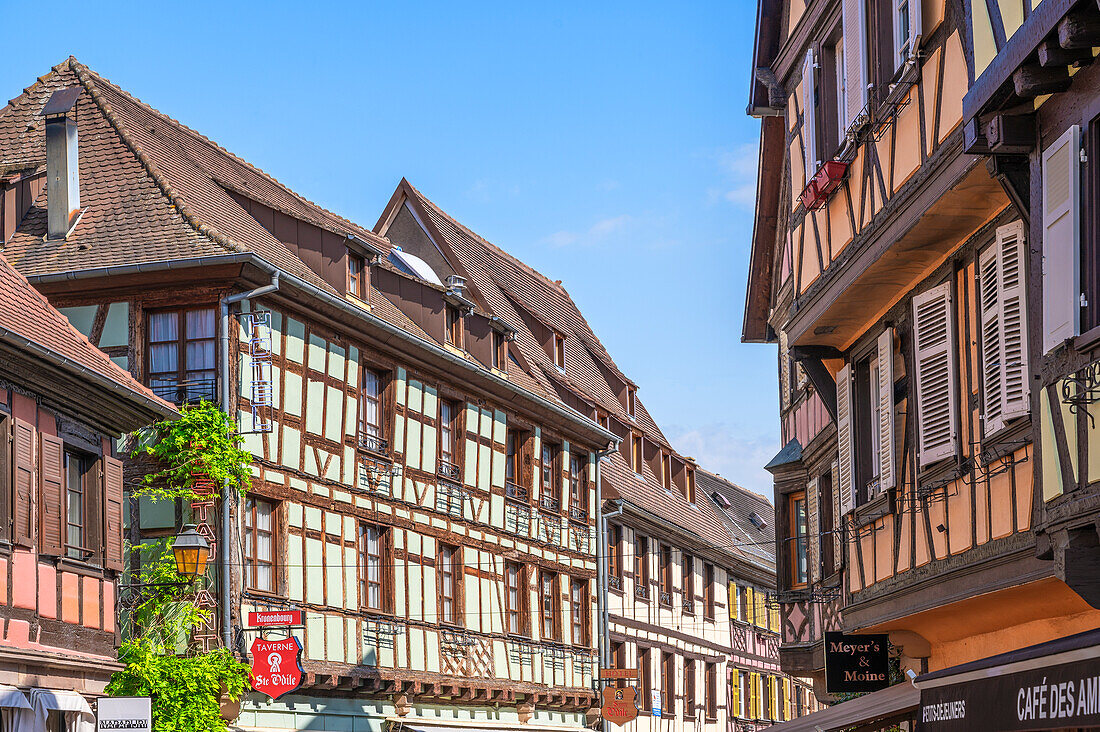 Half-timbered houses in Obernai, Oberehnheim, Bas-Rhin, Route des Vins d'Alsace, Alsace Wine Route, Grand Est, Alsace-Champagne-Ardenne-Lorraine, France