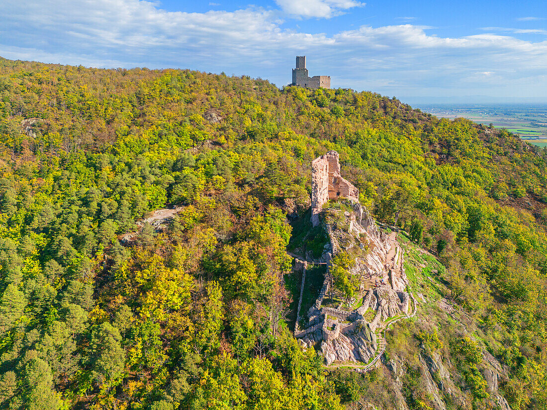 Burgruine Ramstein mit der Burgruine Ortenburg bei Chatenois, Sélestat, Bas-Rhin, Grand Est, Frankreich