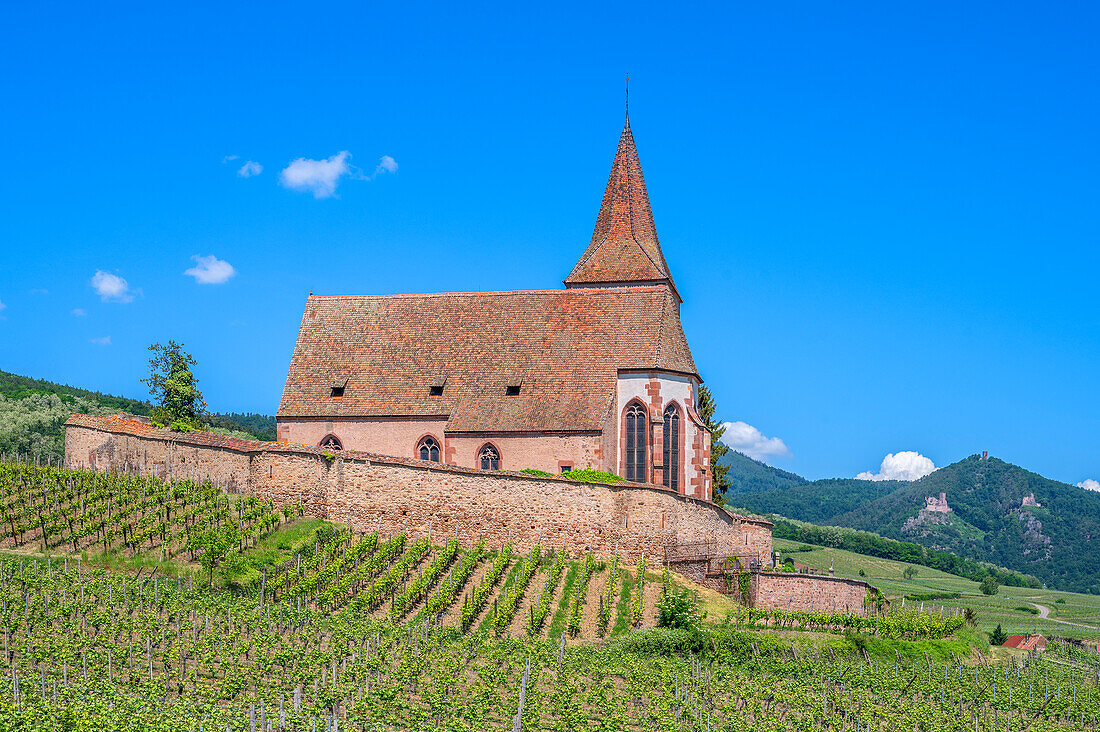 Winzerdorf mit Wehrkirche St. Jacques, Hunawihr (Hunaweier), Haut-Rhin, Route des Vins d'Alsace, Elsässer Weinstraße, Grand Est, Frankreich
