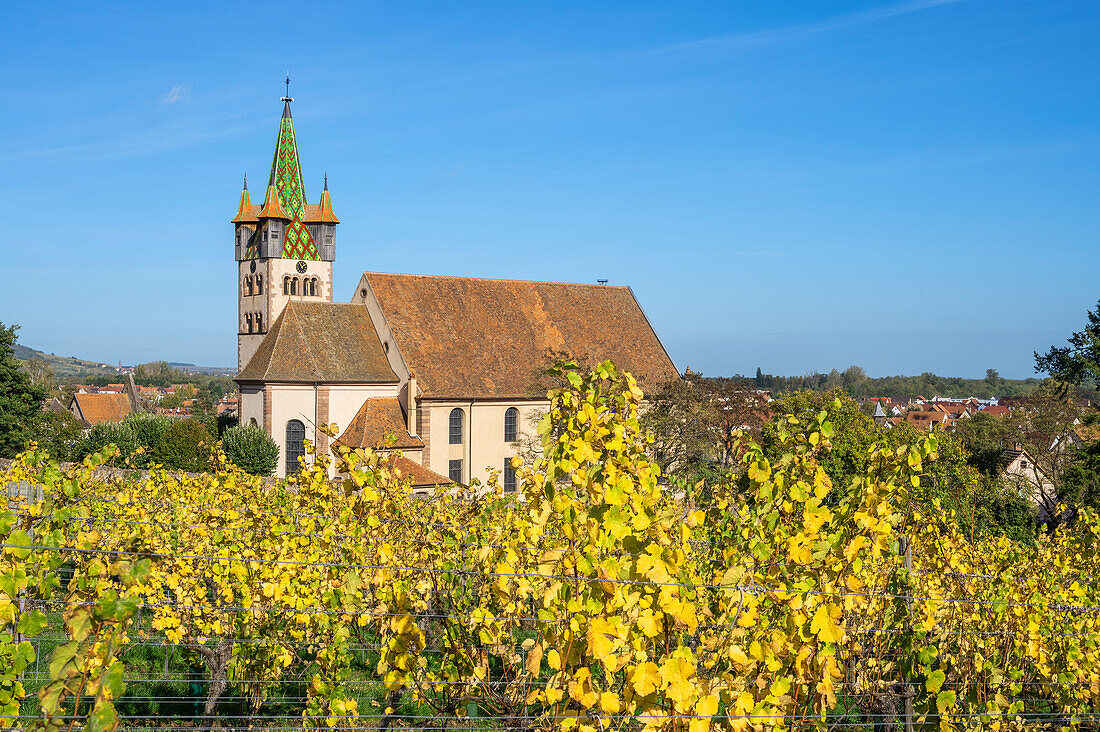 Kirche Saint-Georges de Châtenois im Weinberg, Sélestat, Bas-Rhin, Grand Est, Frankreich