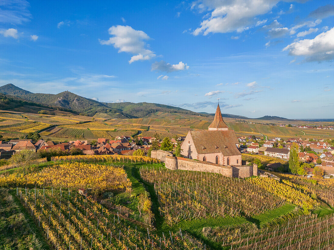 Winzerdorf mit Wehrkirche St. Jacques, Hunawihr (Hunaweier) Haut-Rhin, Route des Vins d'Alsace, Elsässer Weinstraße, Grand Est, Frankreich