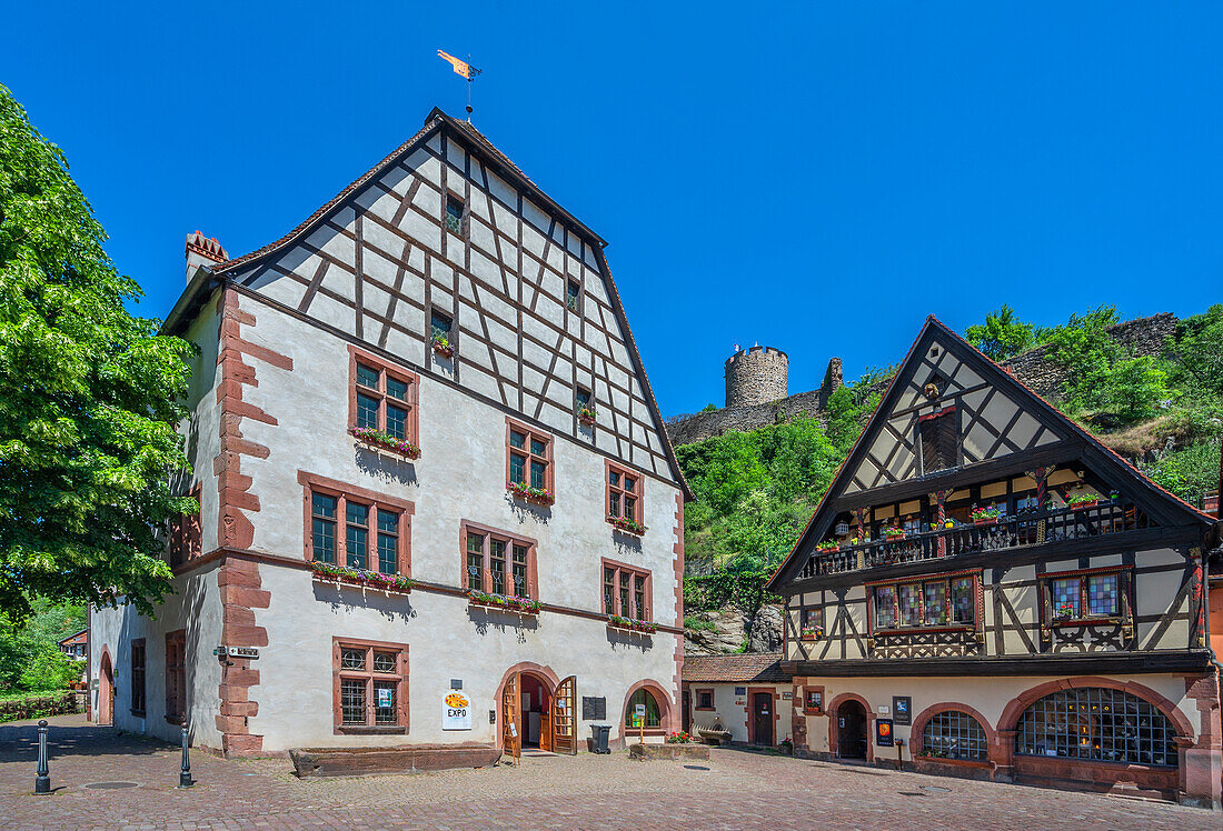 Half-timbered houses with a view of the castle, Kaysersberg, Haut-Rhin, Route des Vins d'Alsace, Alsace Wine Route, Grand Est, Alsace-Champagne-Ardenne-Lorraine, France