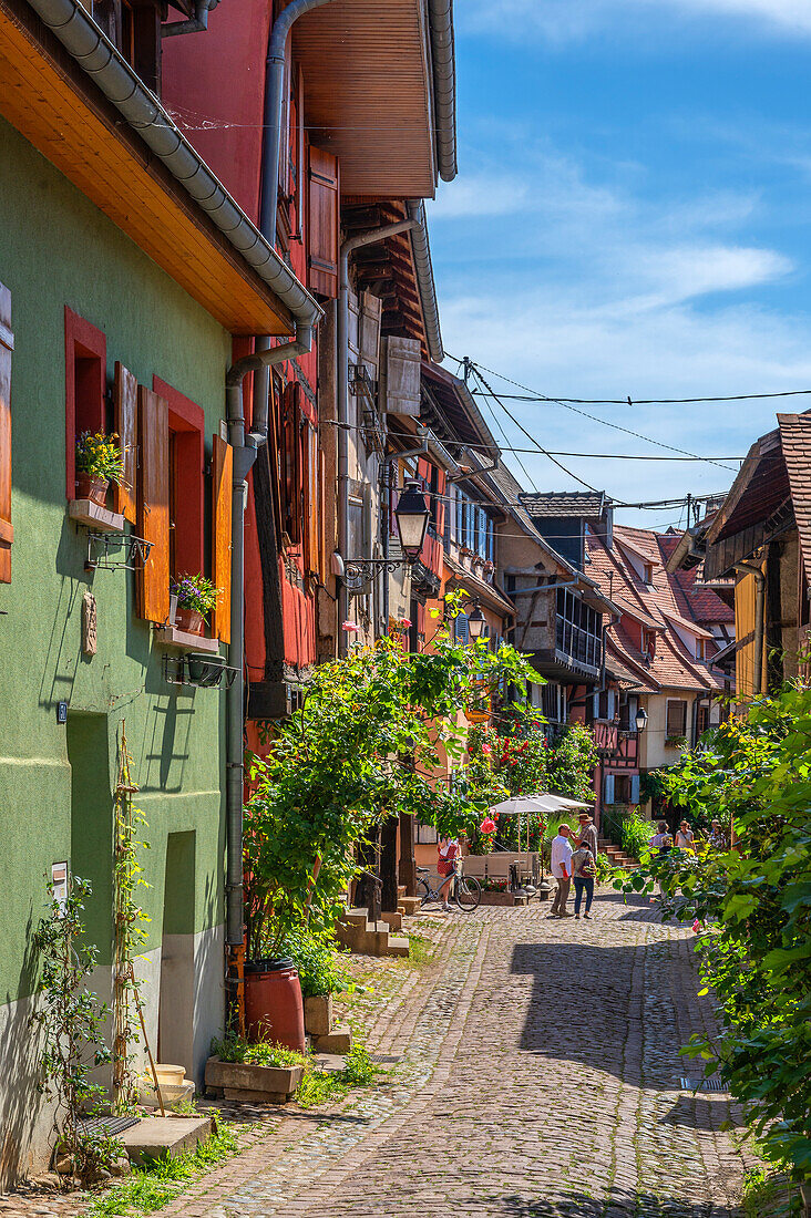 Alley in Eguisheim, Haut-Rhin, Route des Vins d'Alsace, Alsace Wine Route, Grand Est, Alsace-Champagne-Ardenne-Lorraine, France