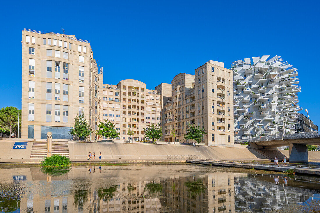 White tree in Montpellier, skyscraper by Sou Fujimoto, OXO, Nicolas Laisné and Dimitri Roussel, Montpellier, Hérault, Languedoc-Roussillon, Occitanie, Languedoc-Roussillon-Midi-Pyrénées, France