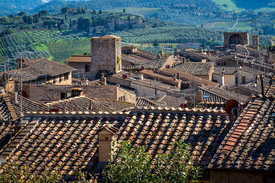 Above the rooftops of San Gimignano, Tuscany, Italy, Europe
